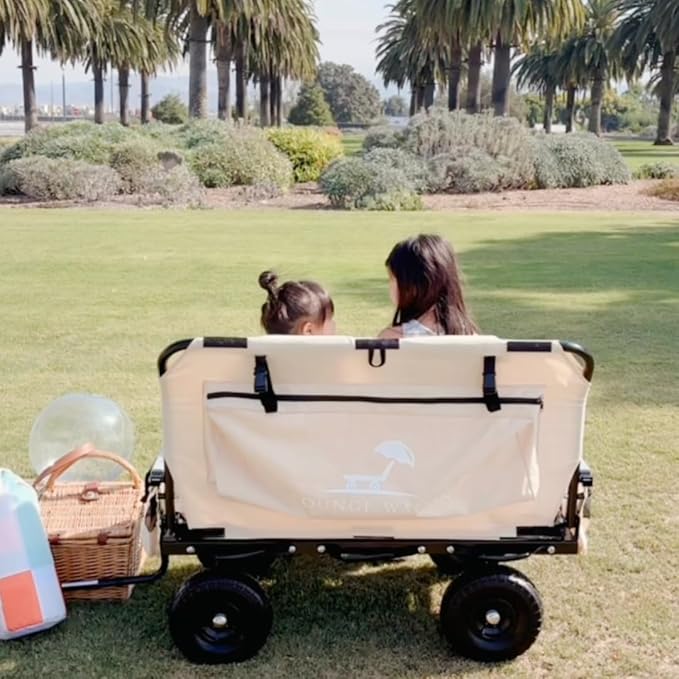 The Only Wagon That Converts into a 2-Person Chair